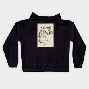 Draco and the Ursa Minor Kids Hoodie